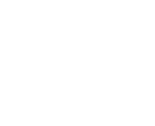 Castore